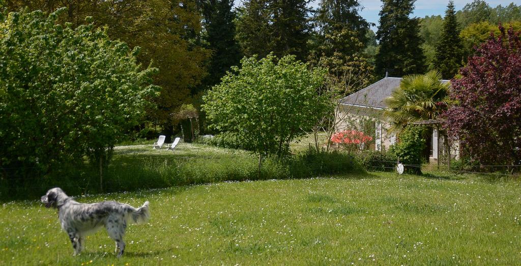 La Barillerie Bed & Breakfast La Fleche Exterior photo
